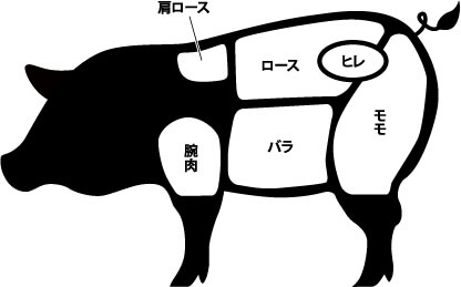 部分肉　イラスト