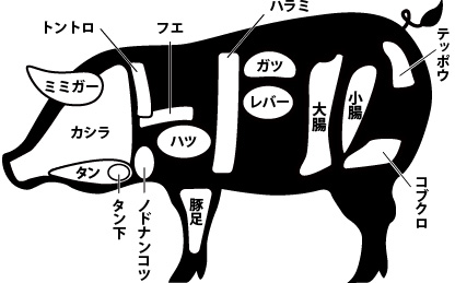 内臓肉　イラスト